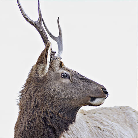 Cityscape Photography Series